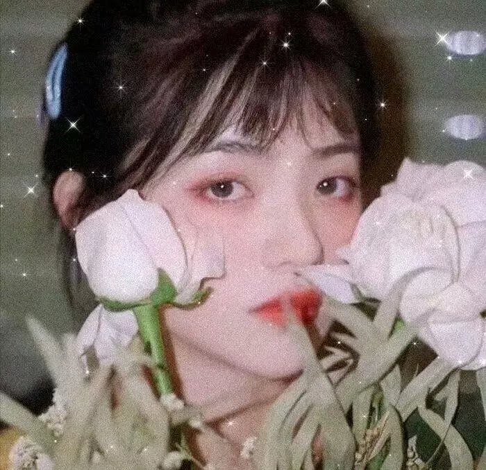 水晶天鹅
